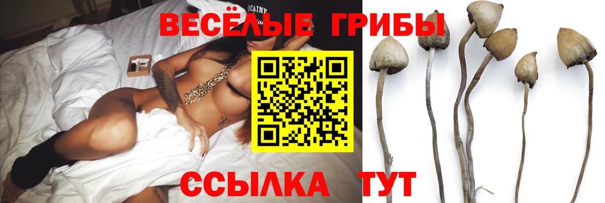 Галлюциногенные грибы мицелий  Галлюциногенные грибы Psilocybine cubensis  Луга  Вход с VPN 